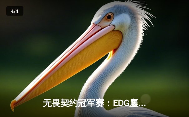无畏契约冠军赛：EDG鏖战五局力克PRX，CN赛区首夺世界冠军 - 4